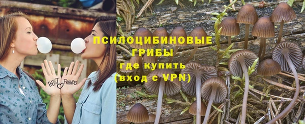 apvp Алзамай
