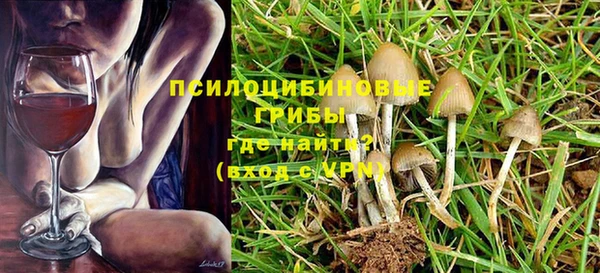 apvp Алзамай