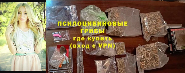 ешки Алексеевка