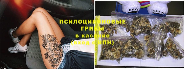 apvp Алзамай