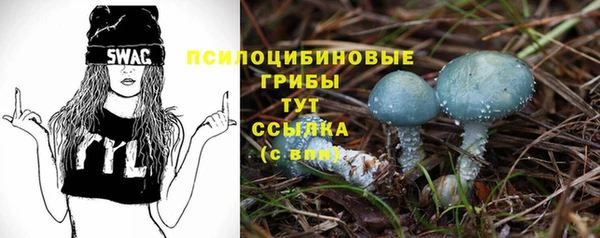 ешки Алексеевка