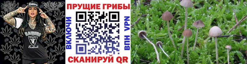 Галлюциногенные грибы MAGIC MUSHROOMS  Уссурийск 